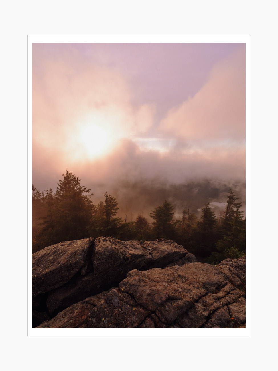 Max Schiefele Alle Bilder  DSF0860